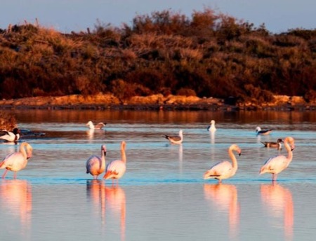 Parque Regional Salinas